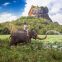 Sigiriya