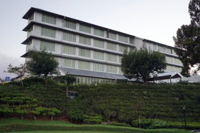 Tea Bush Ramboda- Oakray Hotels